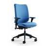 Deluxe Office Chair